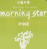 Morning Star Pine Incense | Box of 200 sticks & holder by Nippon Kodo