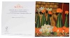 Greeting Card | Buddhist Themed | Buddhist Alter Offerings | #15 of 20