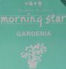 Morning Star Gardenia Incense | Box of 200 Sticks and Holder by Nippon Kodo