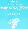 Morning Star Jasmine Incense | Box of 50 Sticks & Holder by Nippon Kodo