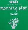 Morning Star Sage Incense | Box of 200 sticks & holder by Nippon Kodo