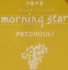 Morning Star Patchouli Incense | Box of 50 Sticks & Holder by Nippon Kodo