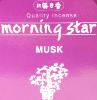 Morning Star Musk Incense | Box of 50 sticks & holder by Nippon Kodo