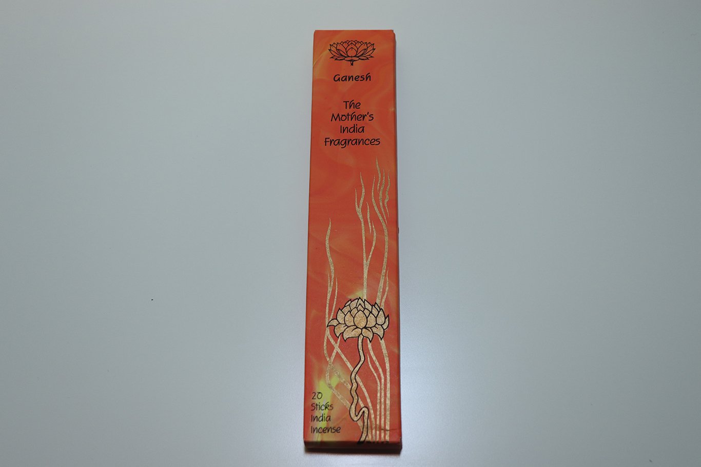 The Mother's India Ganesh