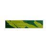 Fresh Matcha (Green Tea) | Scentsual range Japanese Incense Sticks by Nippon Kodo | 30 sticks & holder 