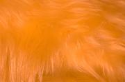 Manta de pelo largo amarillo