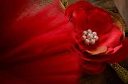 Set tutù in tulle e copricapo fiore rosso