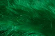 Couverture à poils longs vert