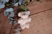 Petit ours en peluche blanc écru 12 cm