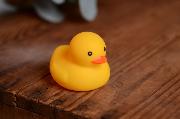 Rubber little duck 5 cm
