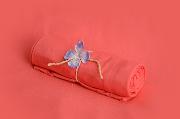Coral smooth fabric 