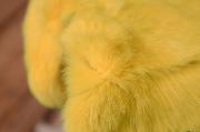Yellow fur fabric