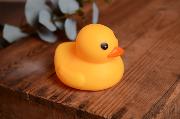 Rubber little duck 11 cm
