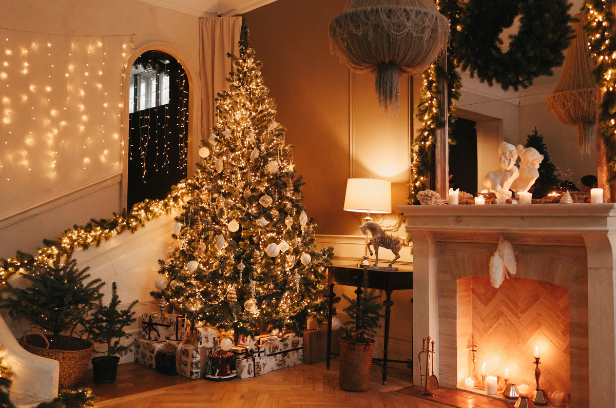 Studio backdrop NAV 51