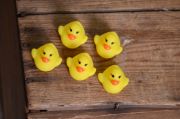 Pack 5 petits canards