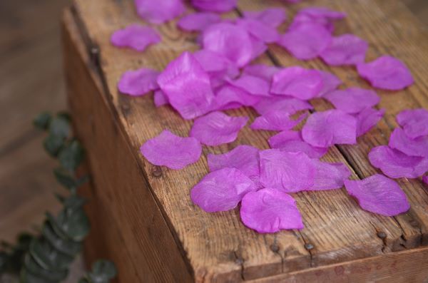 Blumenblätter in Violett