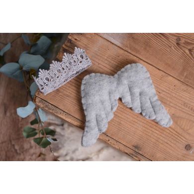 Grey wings and crown set