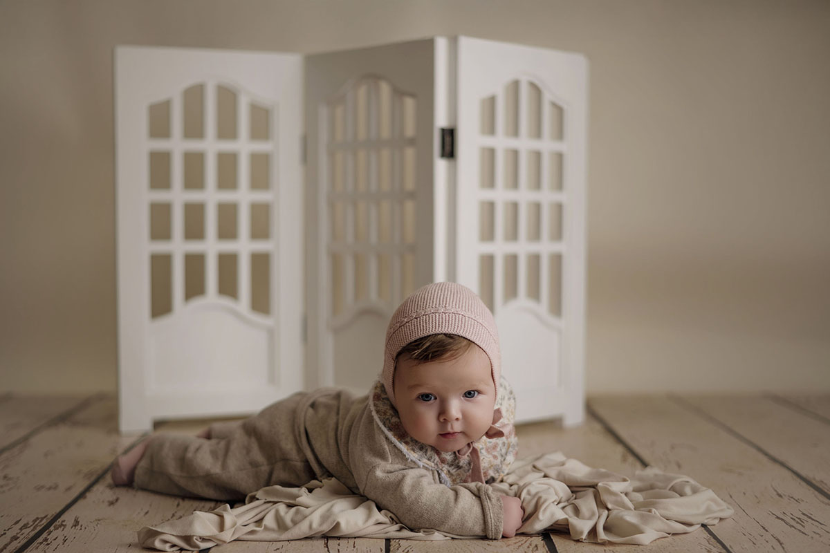 Decorative folding screen - Model 2