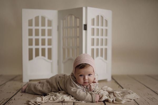 Decorative folding screen - Model 2