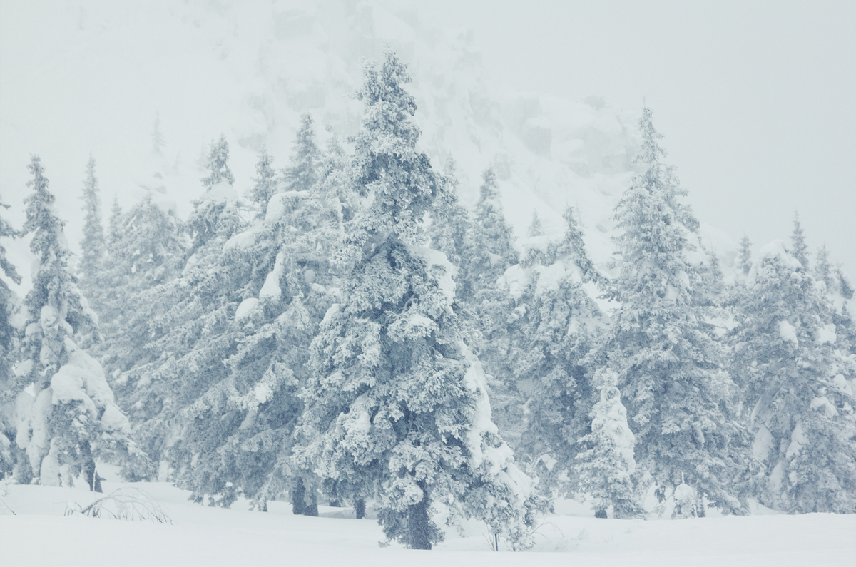 Studio backdrop NAV 23