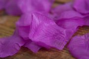 Blumenblätter in Violett