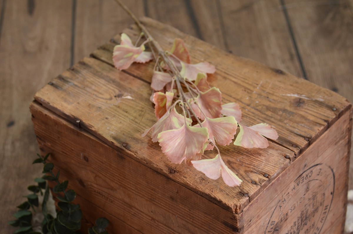 Weinstock in Grün und Burgunderrot