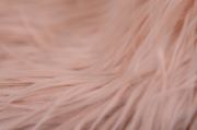 Couverture à poils lisses extralongs rose pastel