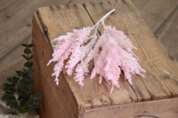 Vara de ciprés rosa