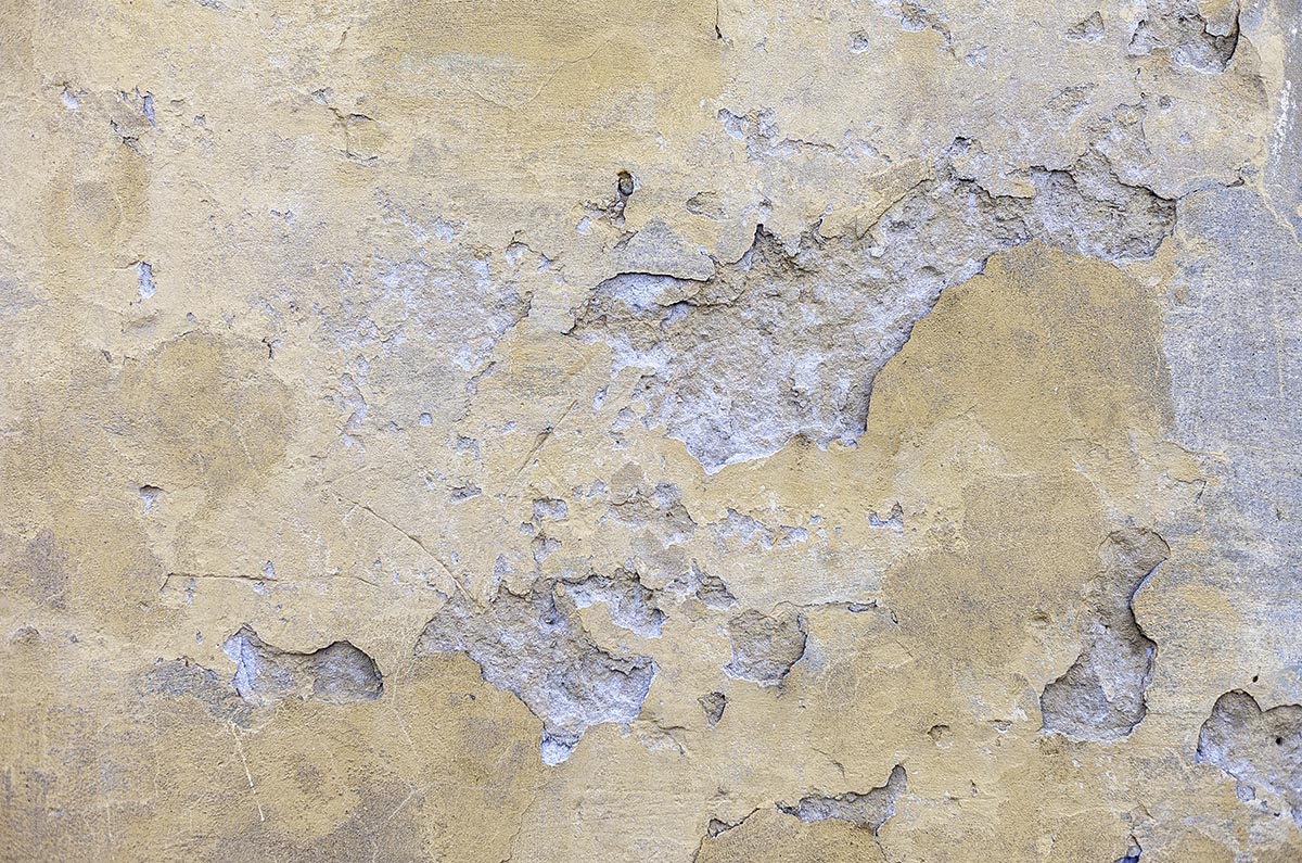 Studio background LA 03