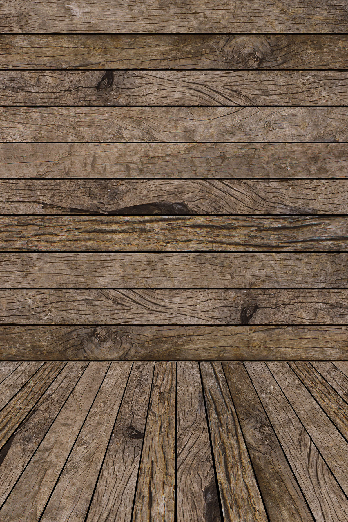 Studio background SP 13