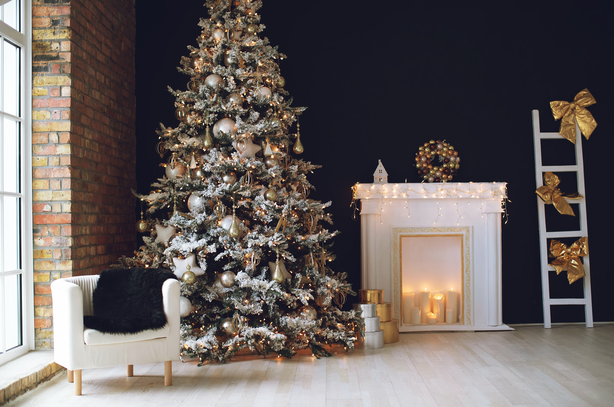 Studio backdrop NAV 46