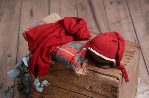 Conjunto navideño - Modelo 3
