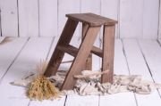 DAMAGED - Brown ladder