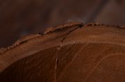 DAMAGED - Rustic natural bowl