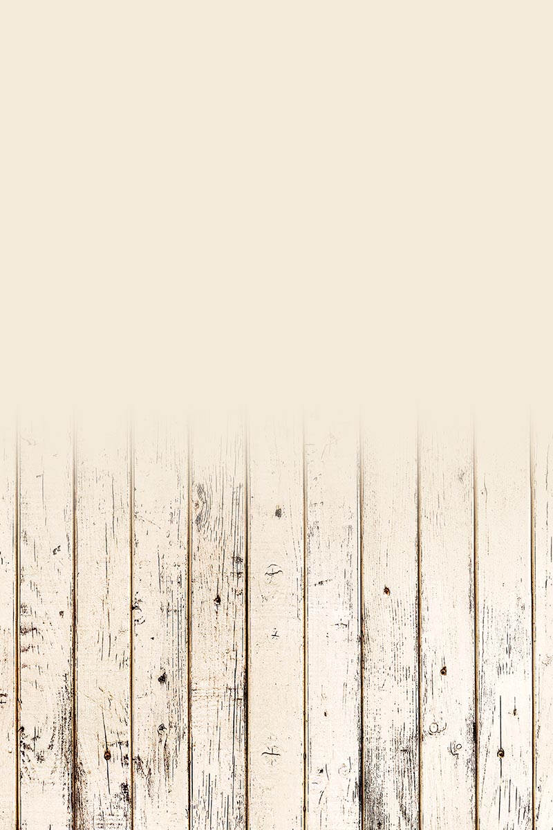 Studio background SSF 1