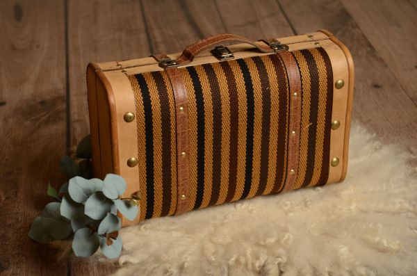 Black and brown striped small suitcase