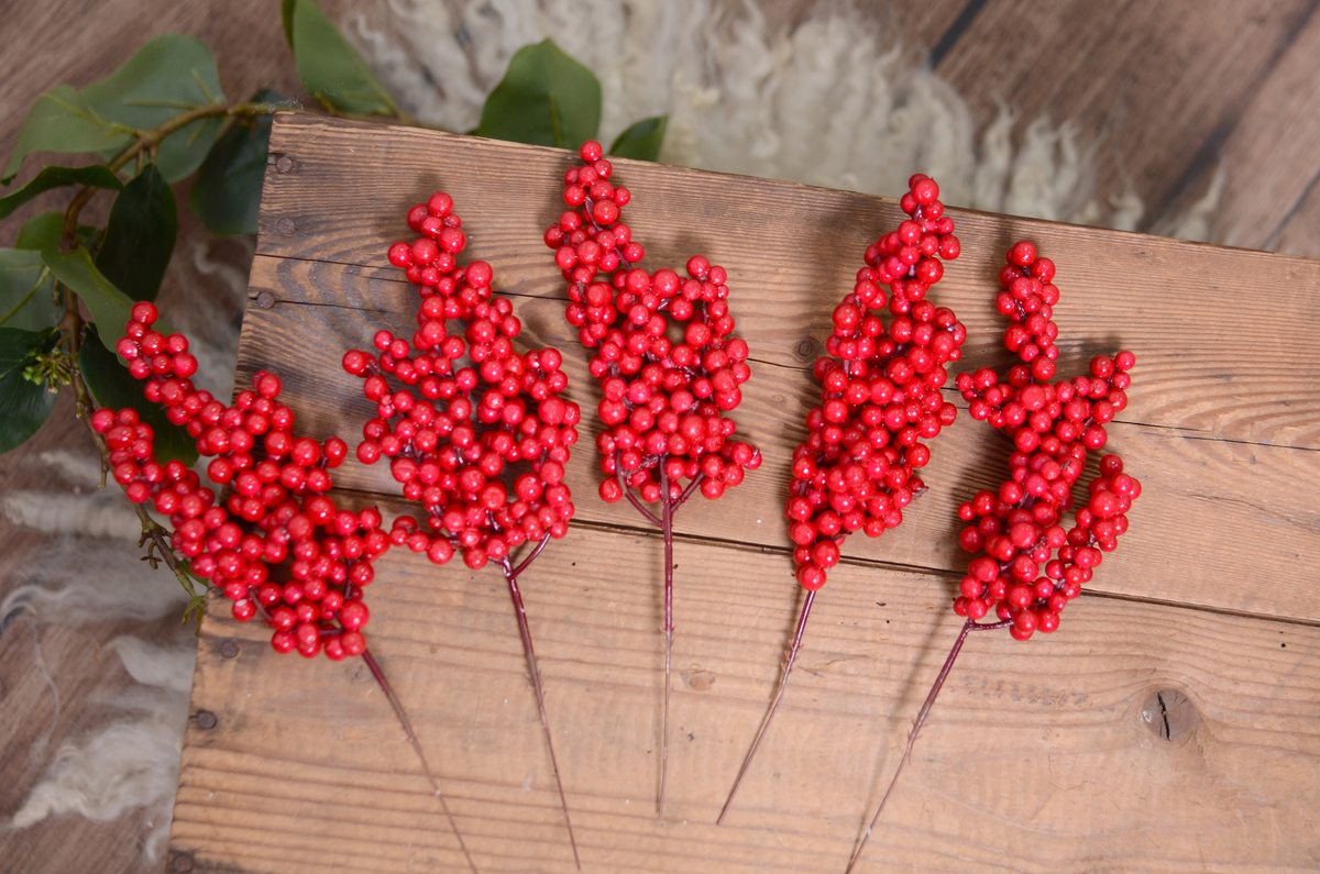 Pack 5 mini Beerenzweige