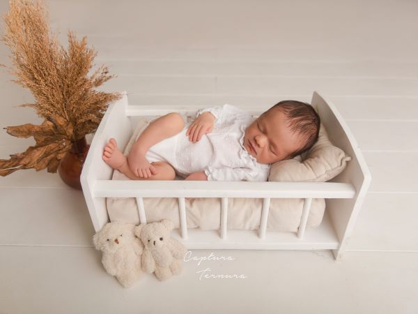 DAMAGED - Cot geranio