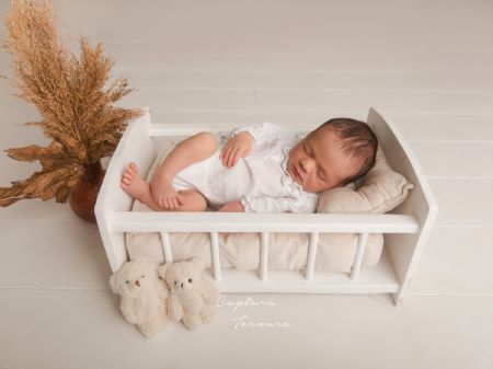 DAMAGED - Cot geranio