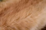Light brown faux leather fabric