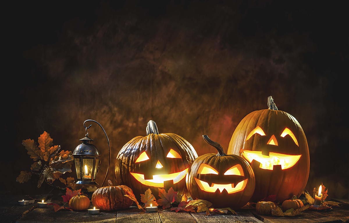 Fondo de estudio HA 03