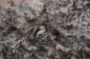Coperta lana vergine rotonda grigio