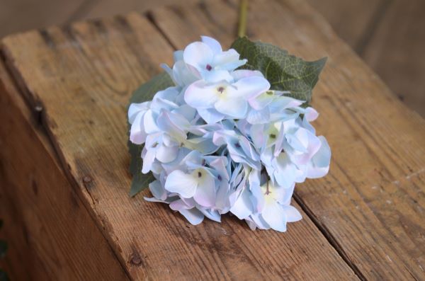 Bâton d'hortensia bleu ciel