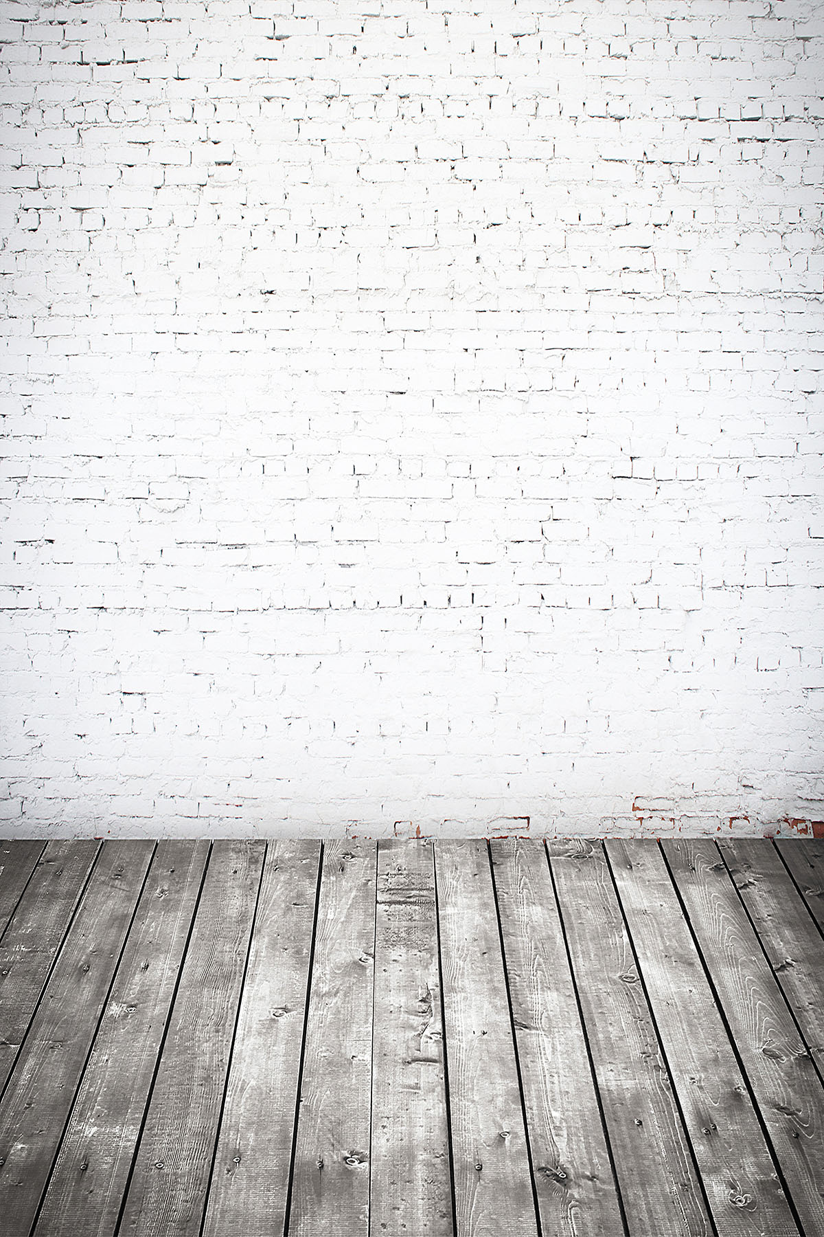 Studio background SP 6