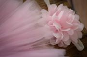 Red tulle tutu and flower headband set