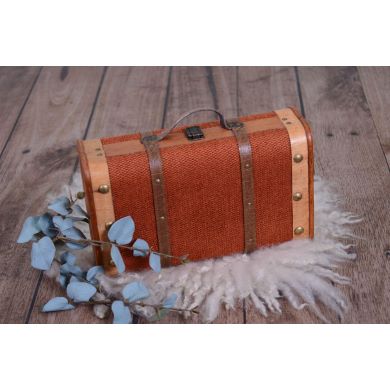 Small russet suitcase