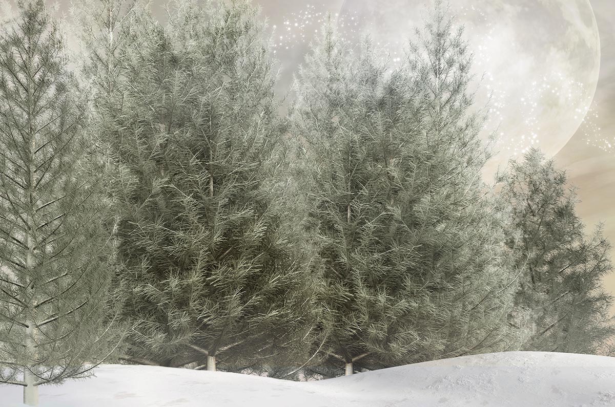 Studio backdrop NAV 45