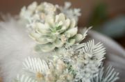 Capuche floral blanc et vert