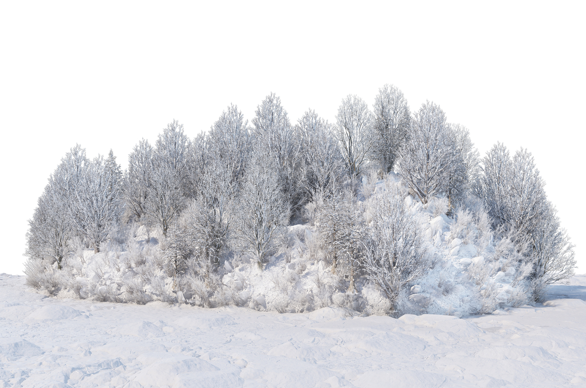 Studio backdrop NAV 74