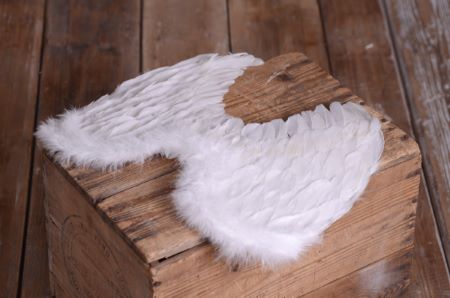 DAMAGED - Wings - Model 3